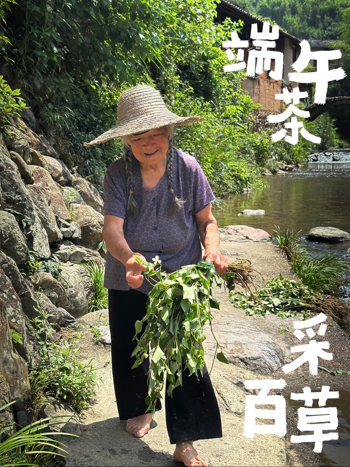 🌿 端午茶：浙南大山里的端午仪式感