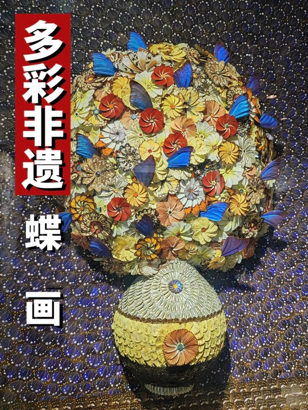 🦋 蝶画｜非遗里的色彩魔法✨