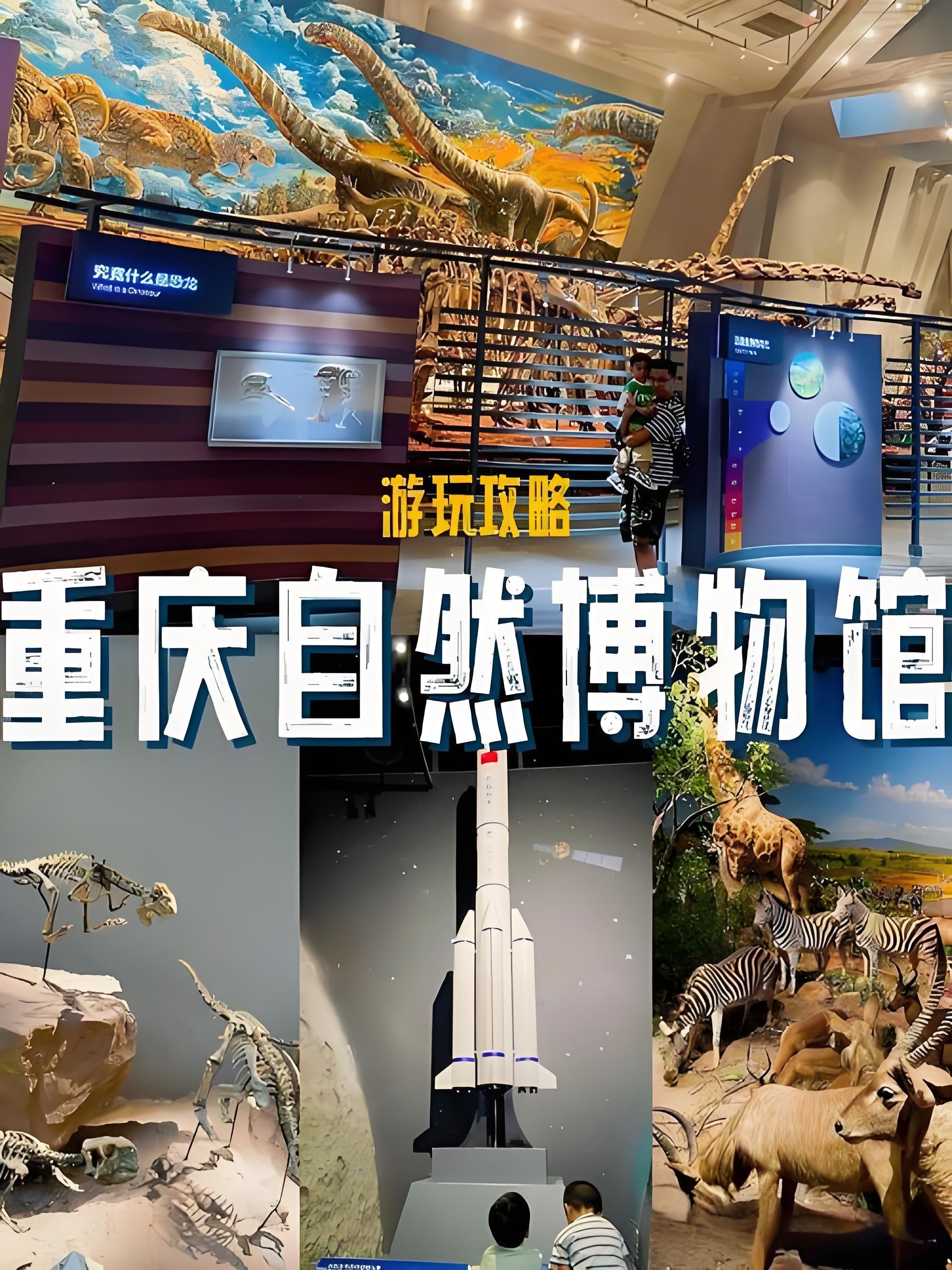 重庆自然博物馆（北碚馆）遛娃全攻略🦕国内顶尖恐龙科普馆｜免费亲子地标