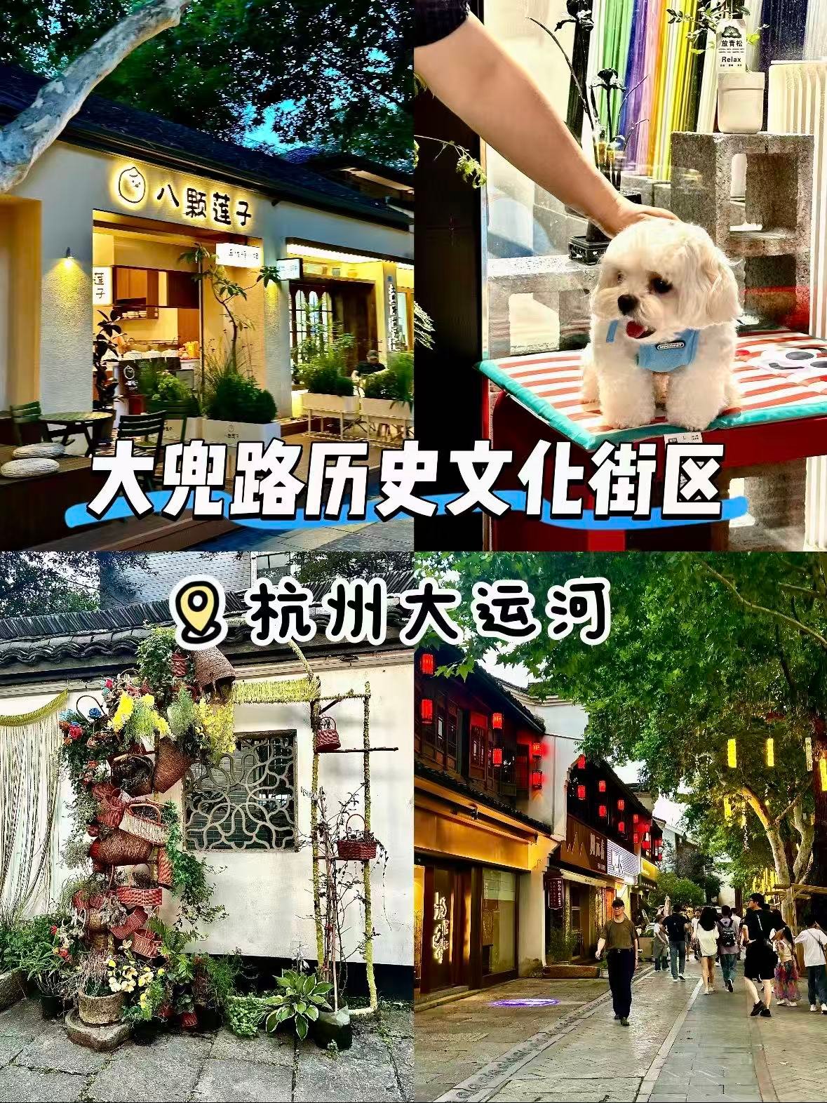 杭州大兜路历史文化街区｜运河边的文艺慢生活🌿