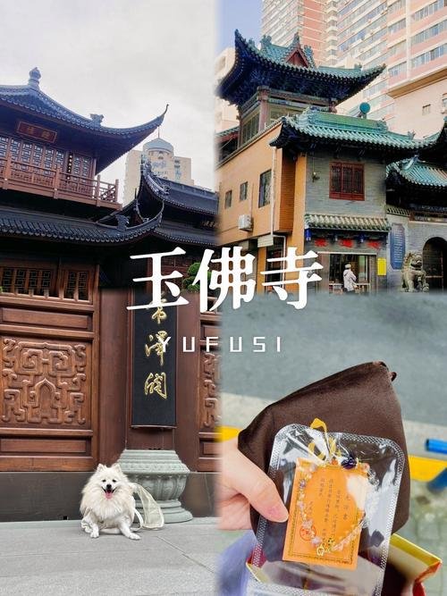 🏯兰州玉佛寺｜闹市里的清净祈福秘境✨