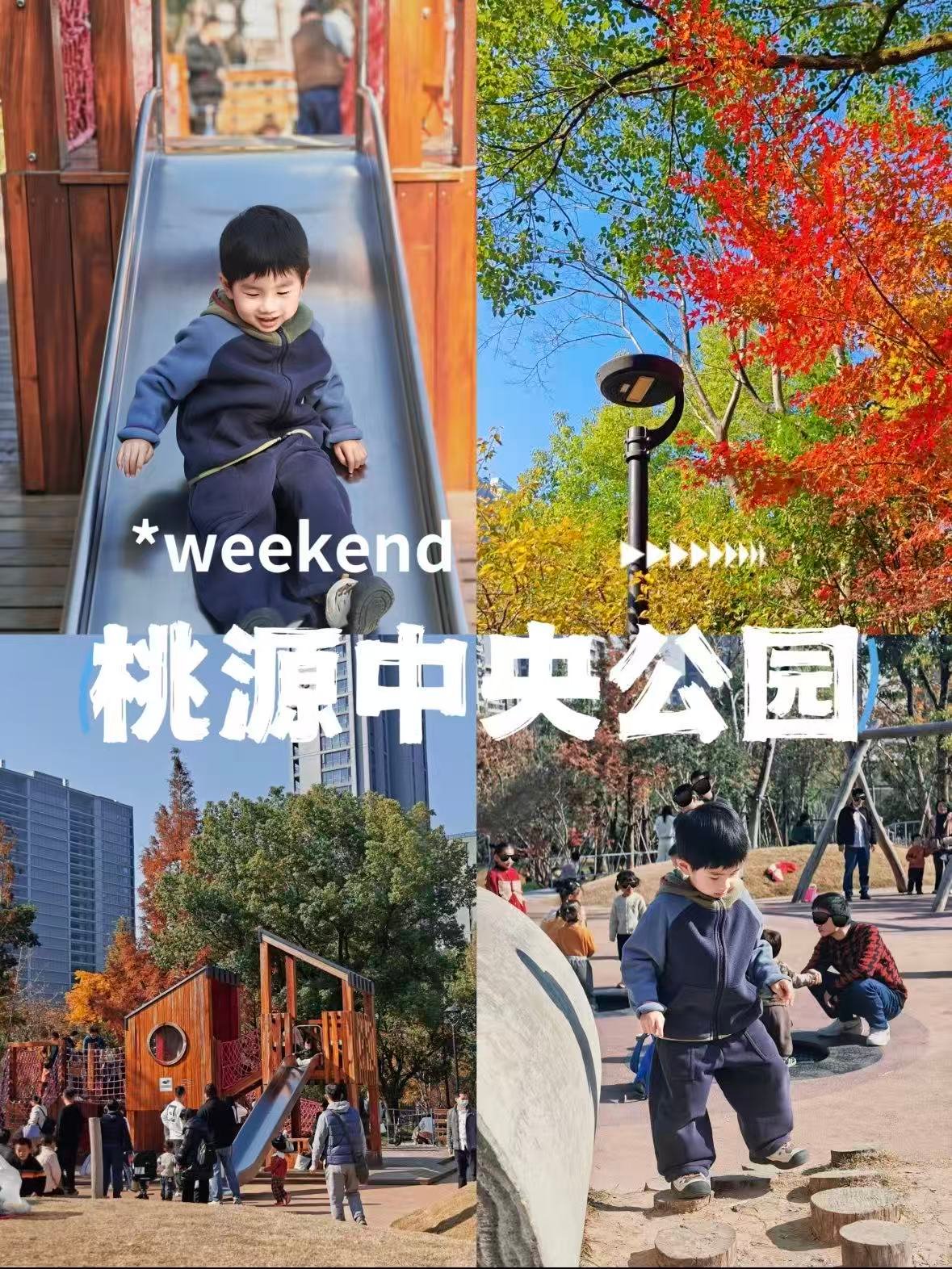 衢州中央公园｜藏在城市里的诗意角落🌿