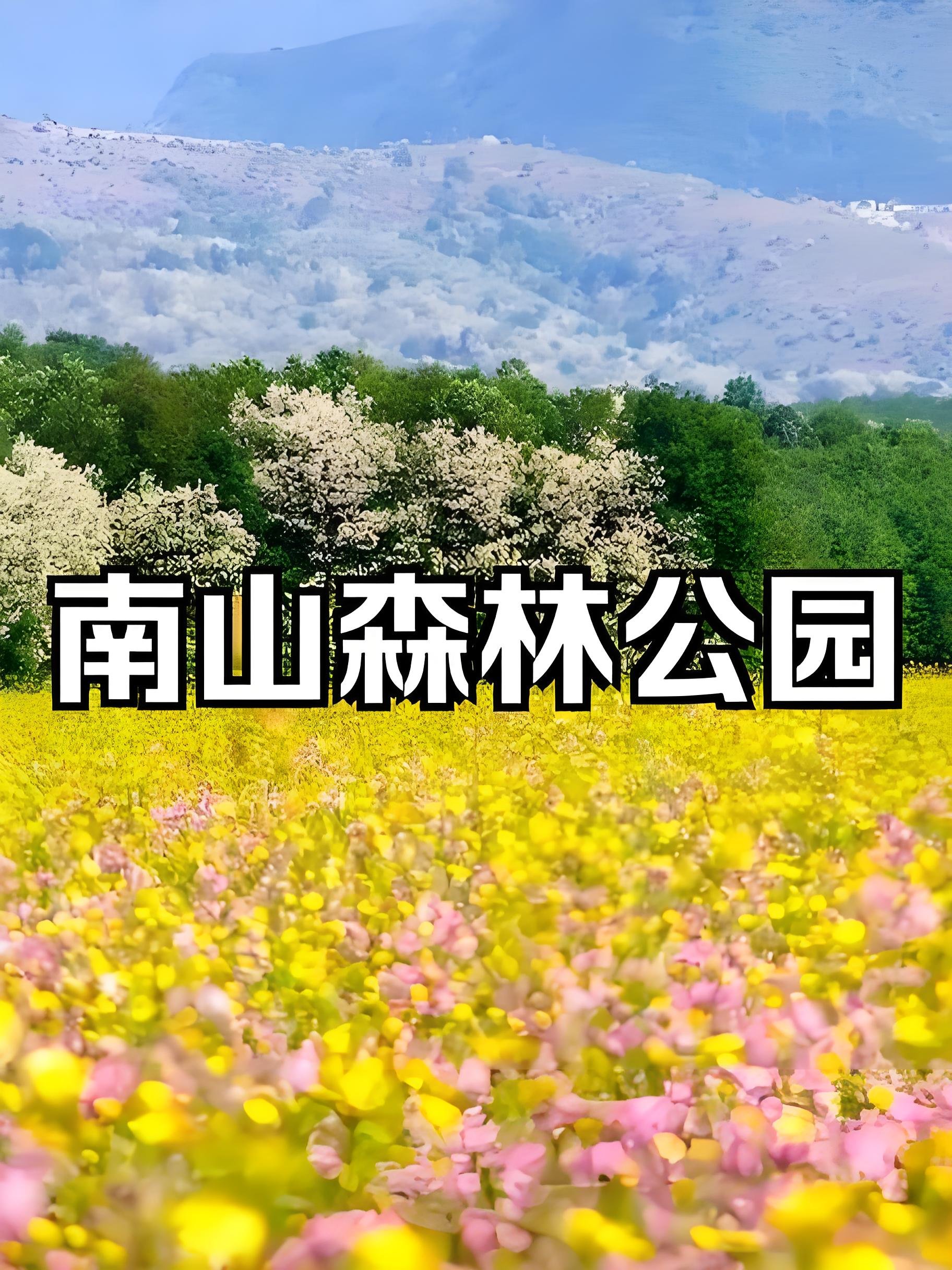 兰州周末吸氧✨南山森林公园懒人游玩全攻略🌿