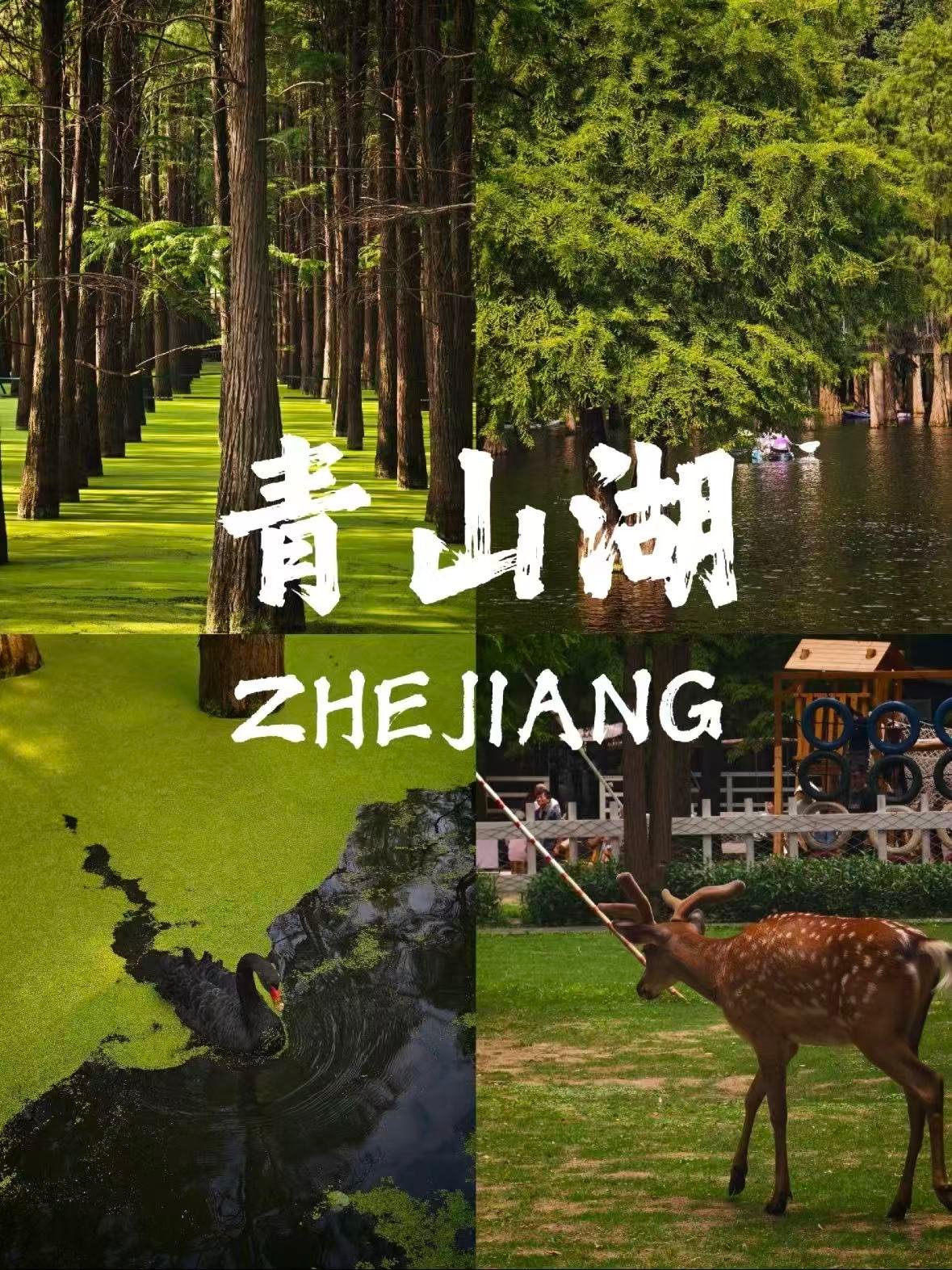 杭州青山湖｜现实版绿野仙踪🌿