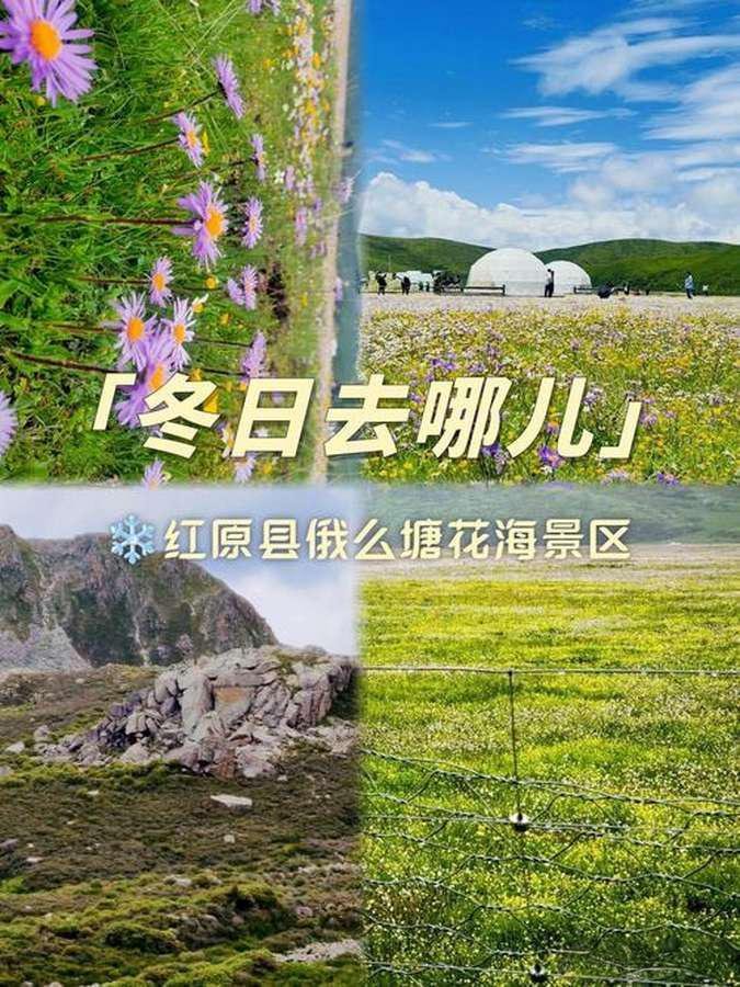 川西冬日秘境｜俄么塘花海小众旅行攻略✨