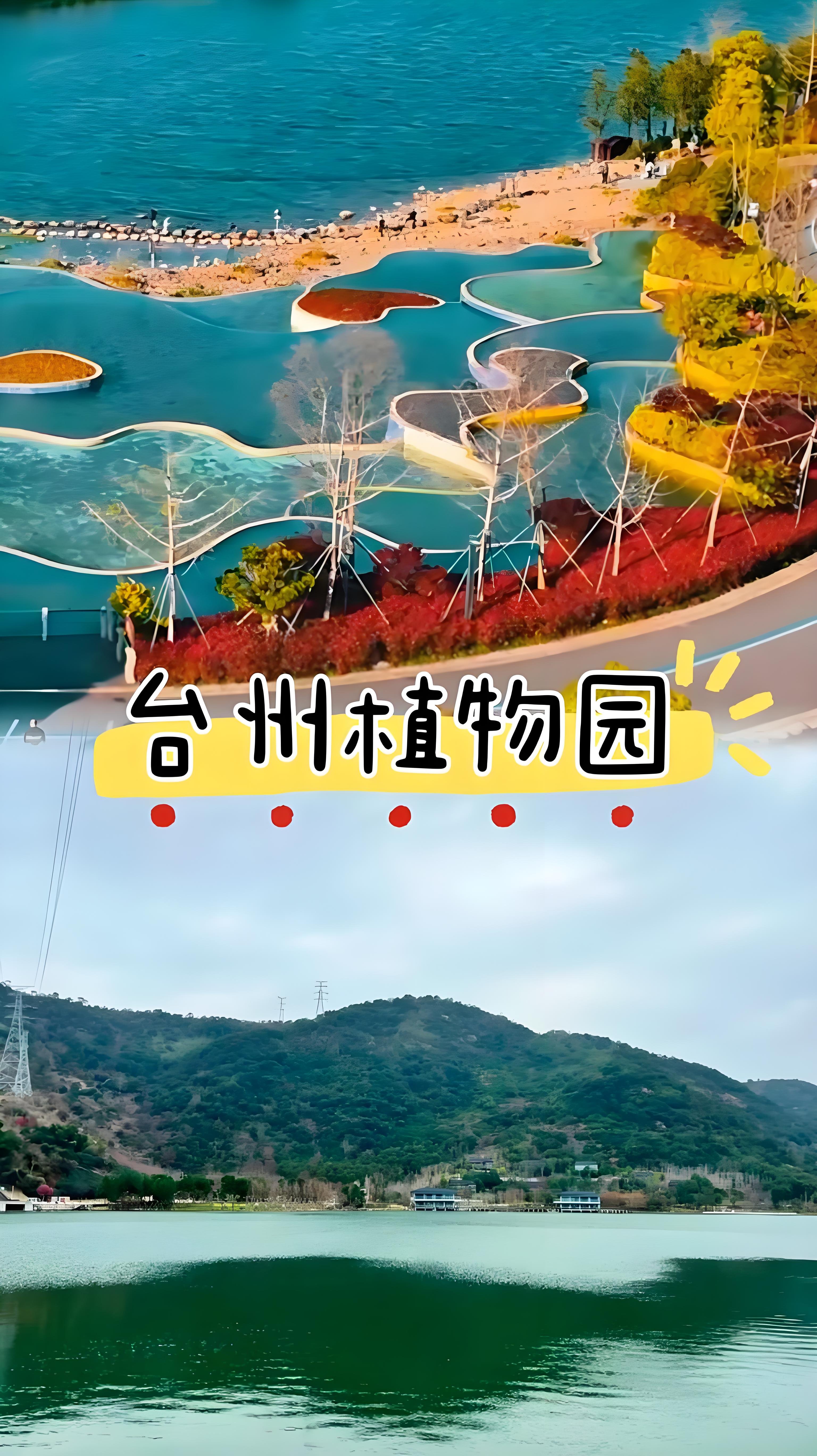 台州植物园｜藏在城市里的自然科普与休闲秘境🌿