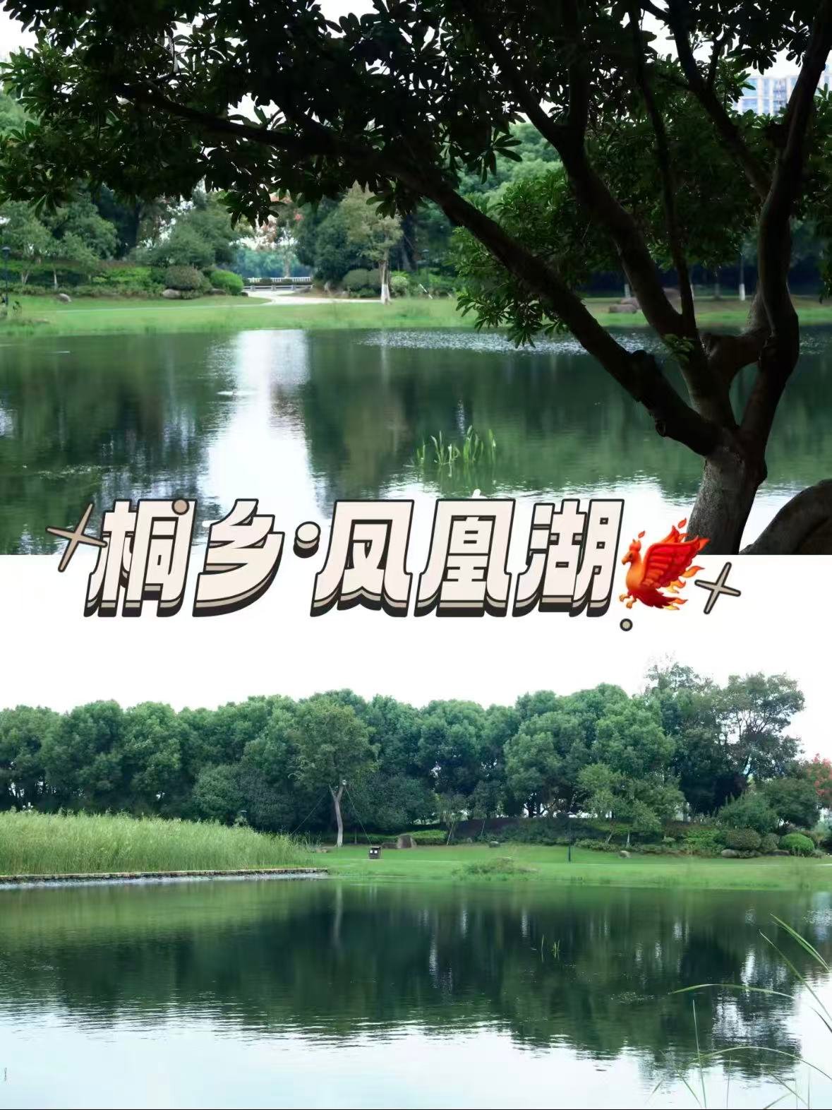 桐乡｜凤凰湖，藏在城市里的治愈系绿洲🌿