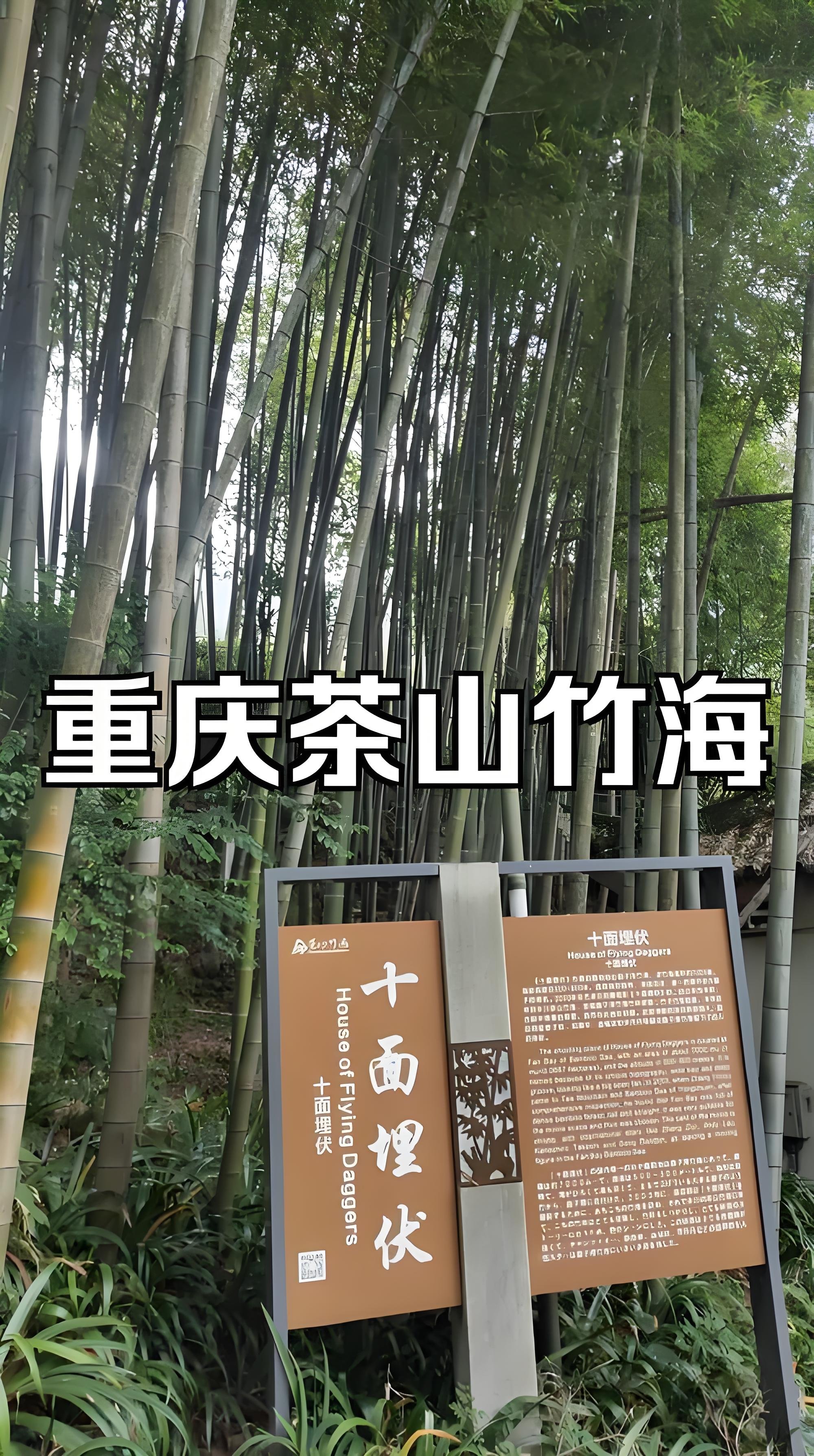 永川茶山竹海一日游攻略