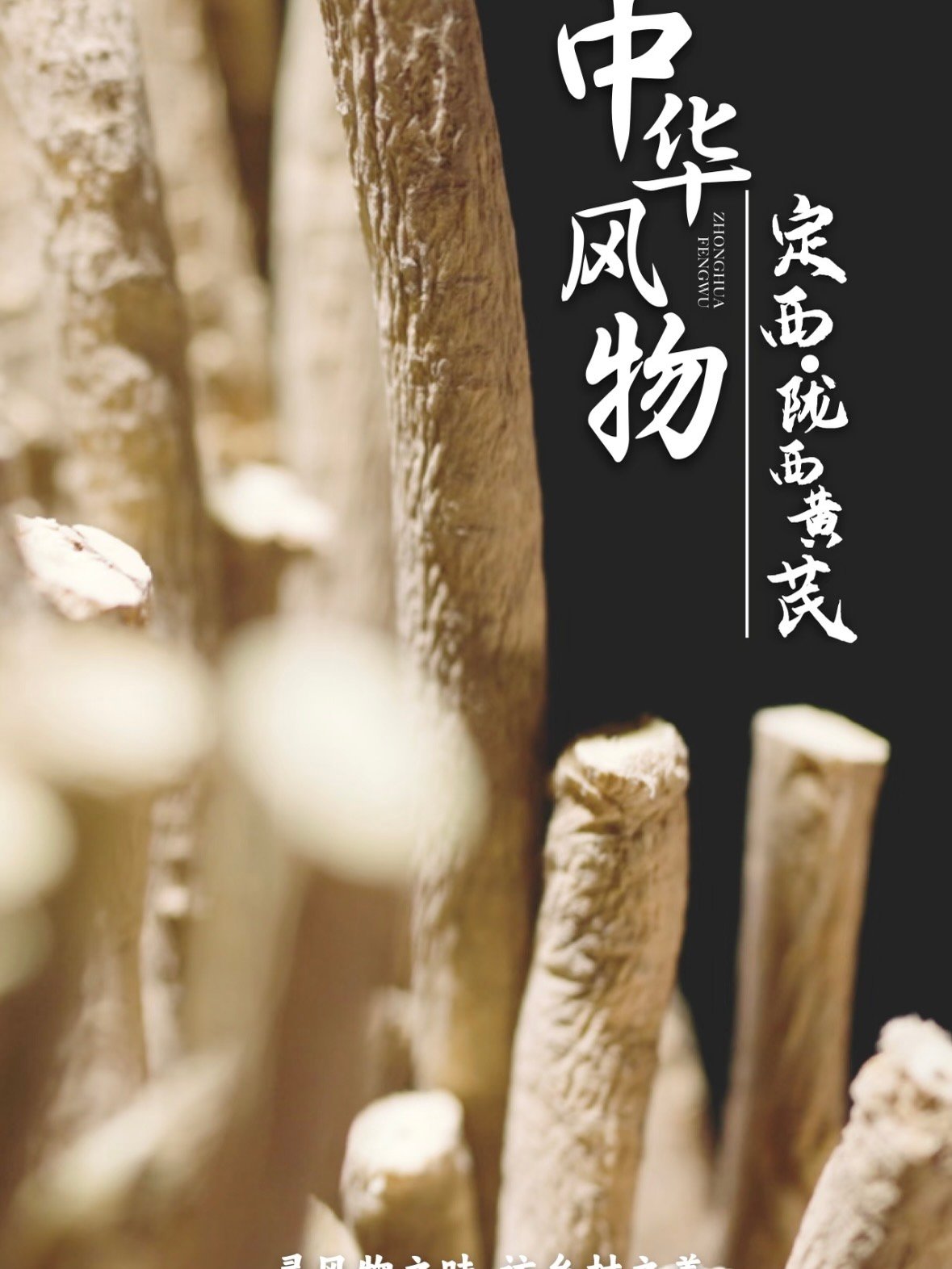 🌿 定西风物志：藏在陇中的本草传奇