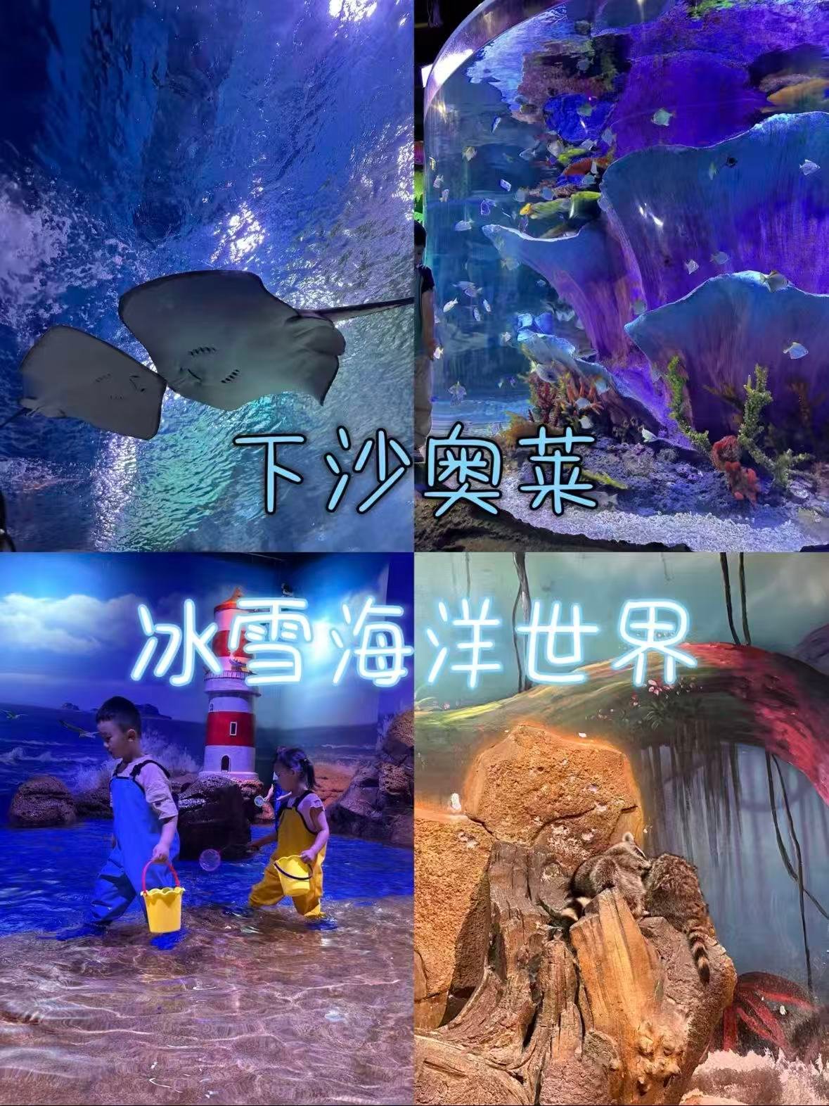 杭州｜下沙奥莱冰雪海洋世界，一站式遛娃天花板🐠