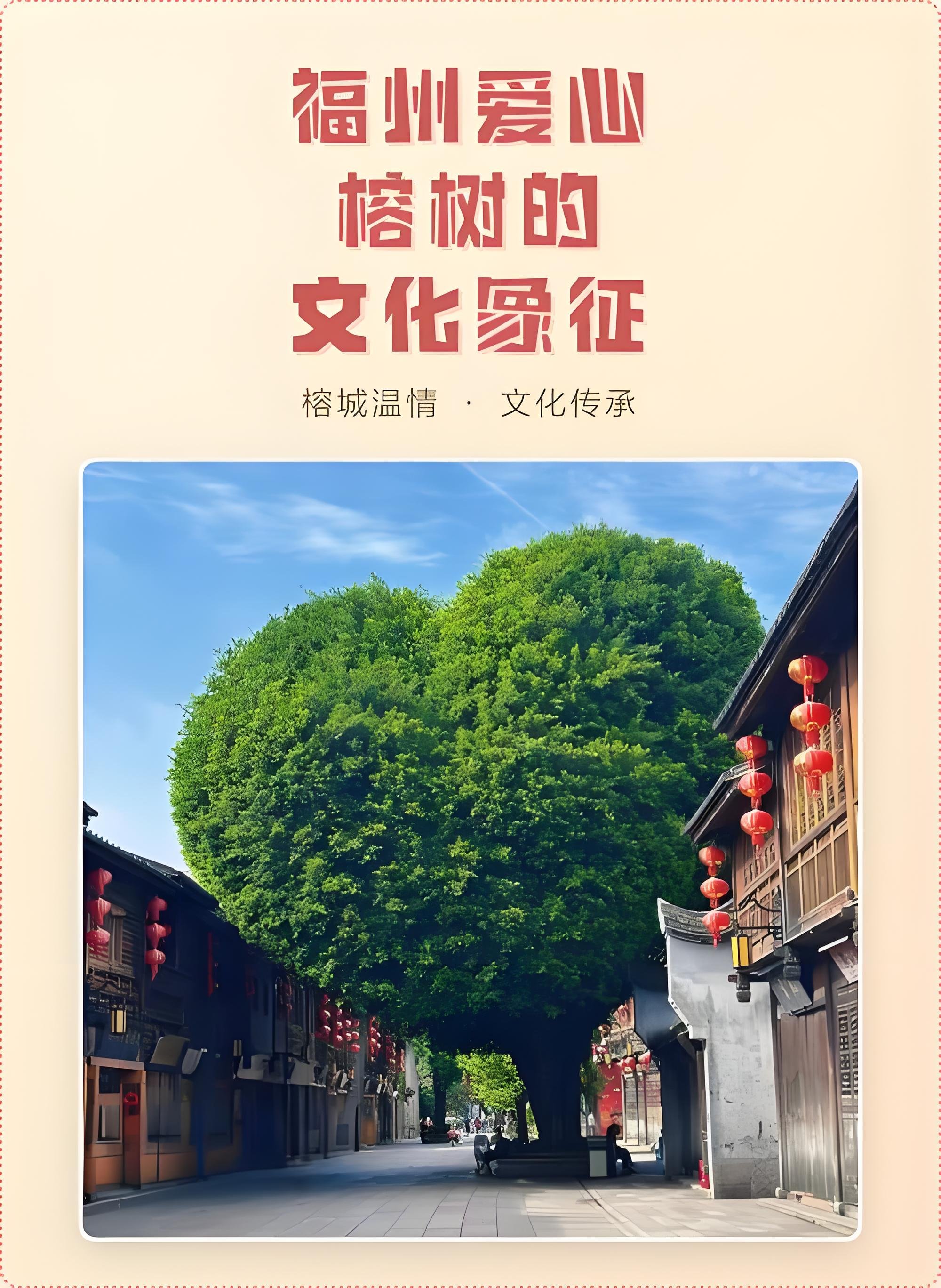 福州南后街爱心榕树｜三坊七巷浪漫打卡攻略💚藏在古街里的天然心形古树