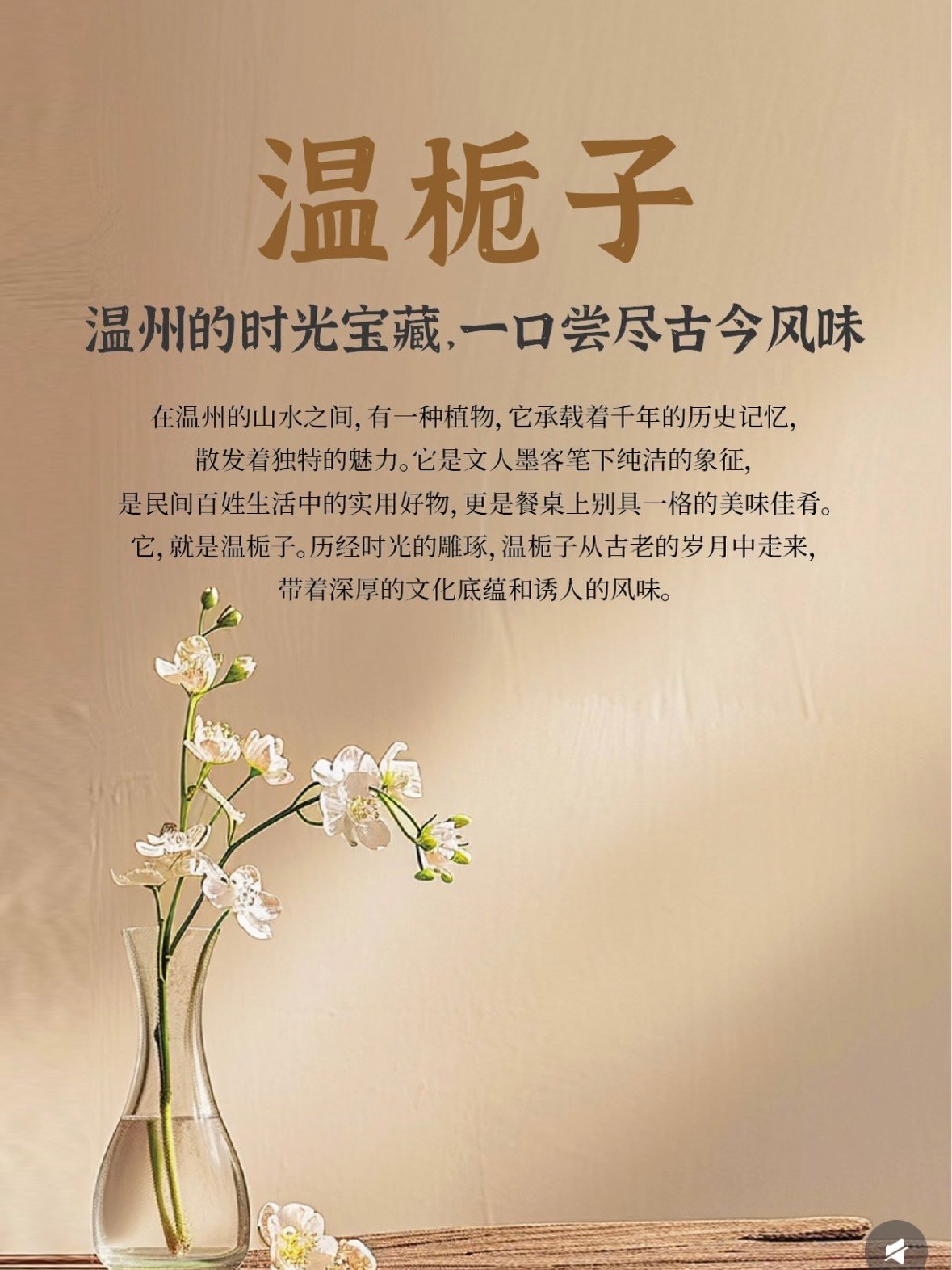 🌼 温栀子｜温州的时光宝藏，一朵花解锁古今风味
