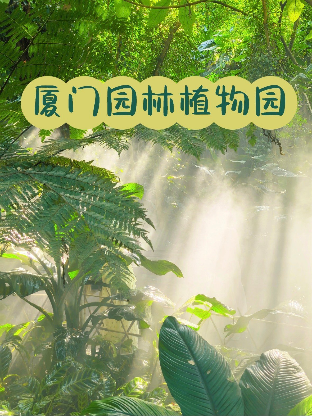 厦门园林植物园｜藏在城市里的热带秘境🌵✨