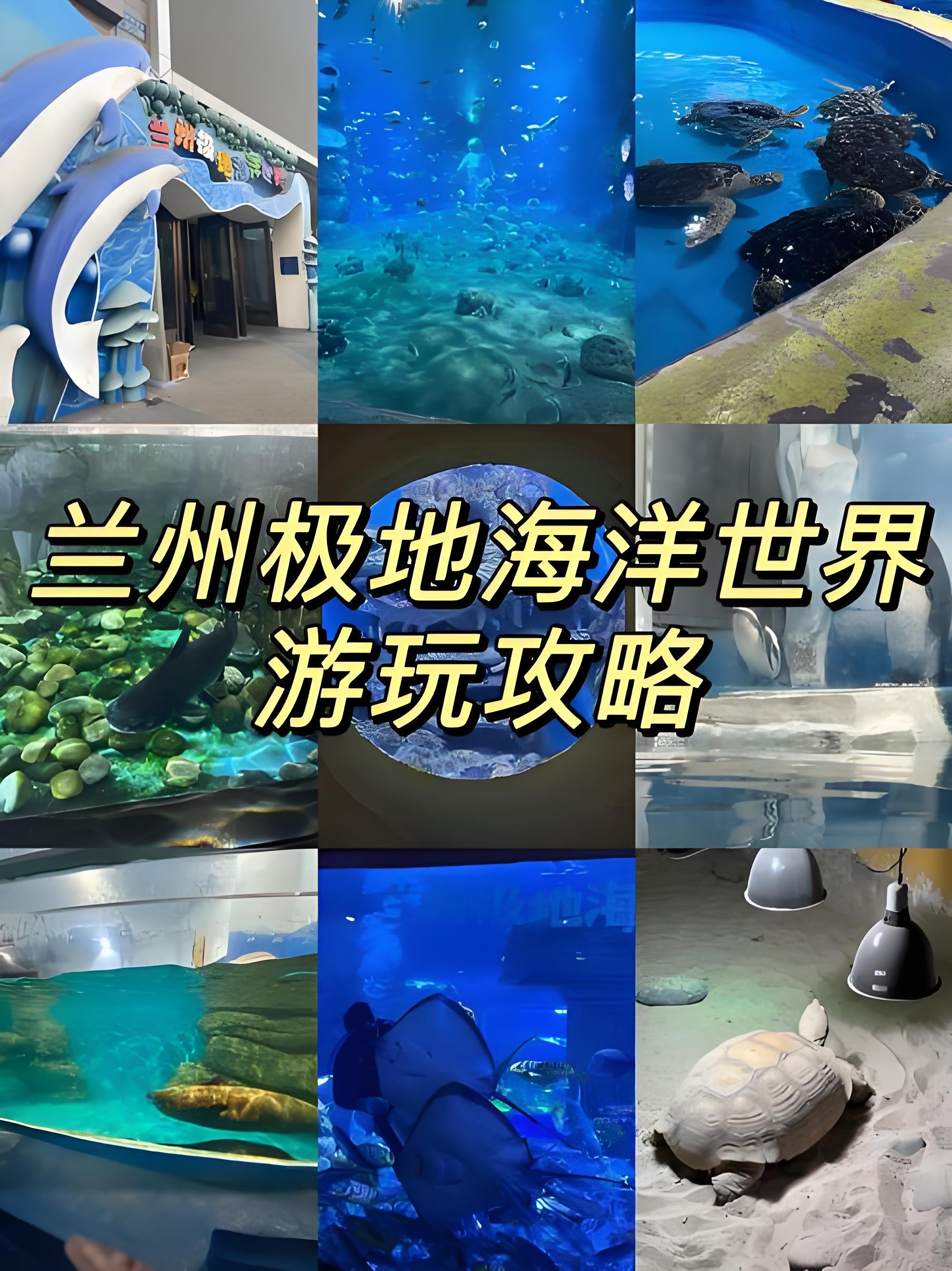 🐳兰州极地海洋世界｜内陆城市的蓝色梦幻秘境✨