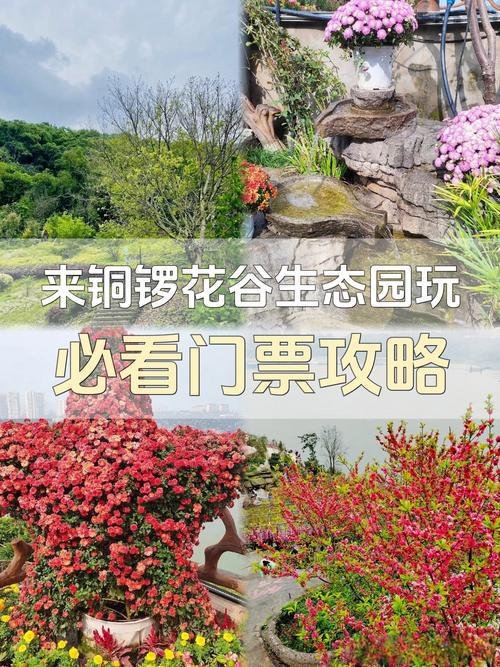重庆铜锣花谷生态园游玩攻略🌸长江崖边临江小众花园