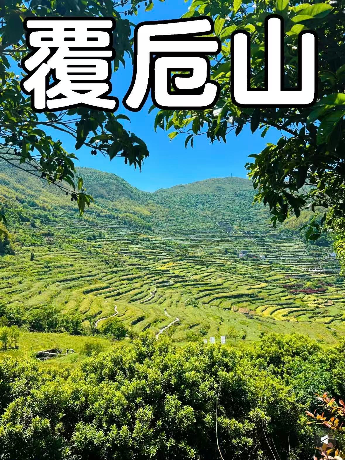 绍兴覆卮山｜藏在浙东的千年梯田与石浪秘境🌿