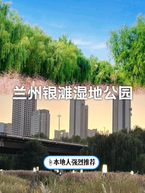 🌿 兰州银滩湿地公园｜黄河边的城市绿洲，本地人私藏的治愈秘境