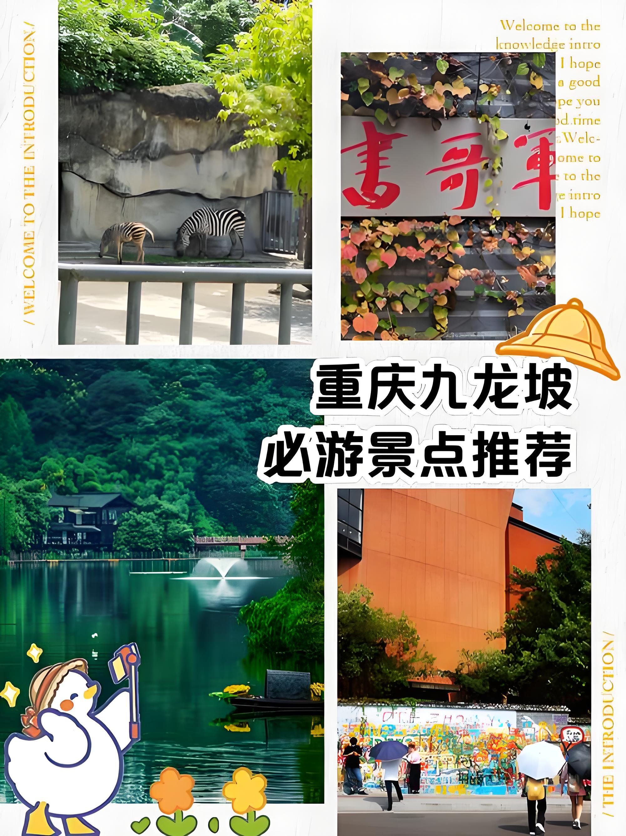 九龙坡一日打卡攻略｜动物园 + 文艺街巷 + 湿地公园（地铁全线直达）