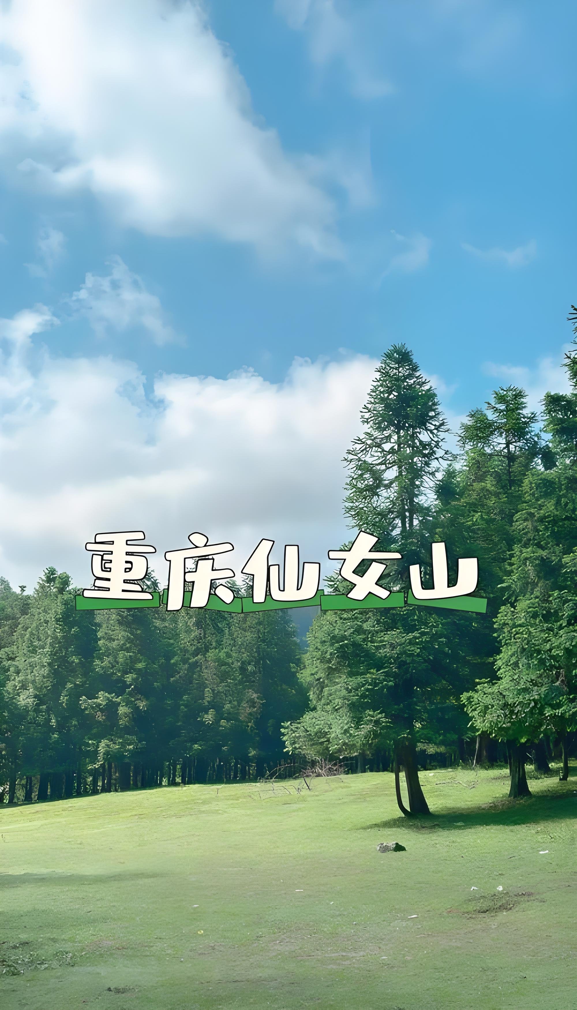 重庆仙女山一日游攻略｜东方瑞士大草原🌿逃离主城吸氧踏青