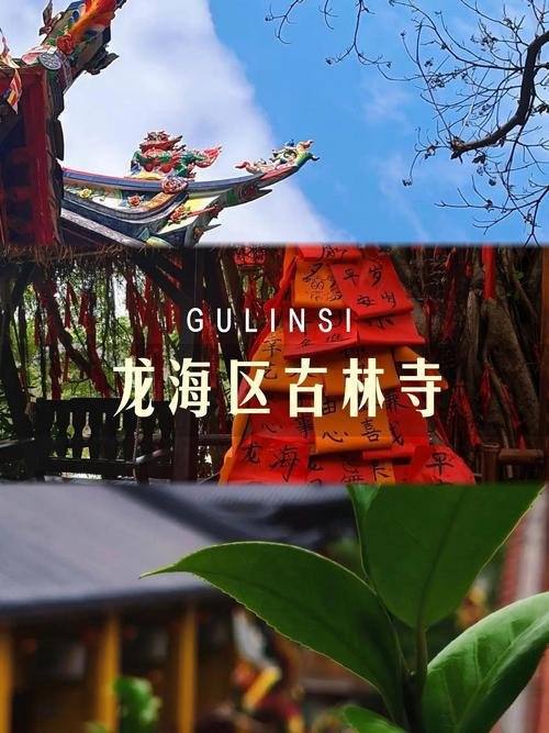 漳州古林寺｜藏在龙海的禅意秘境🌿