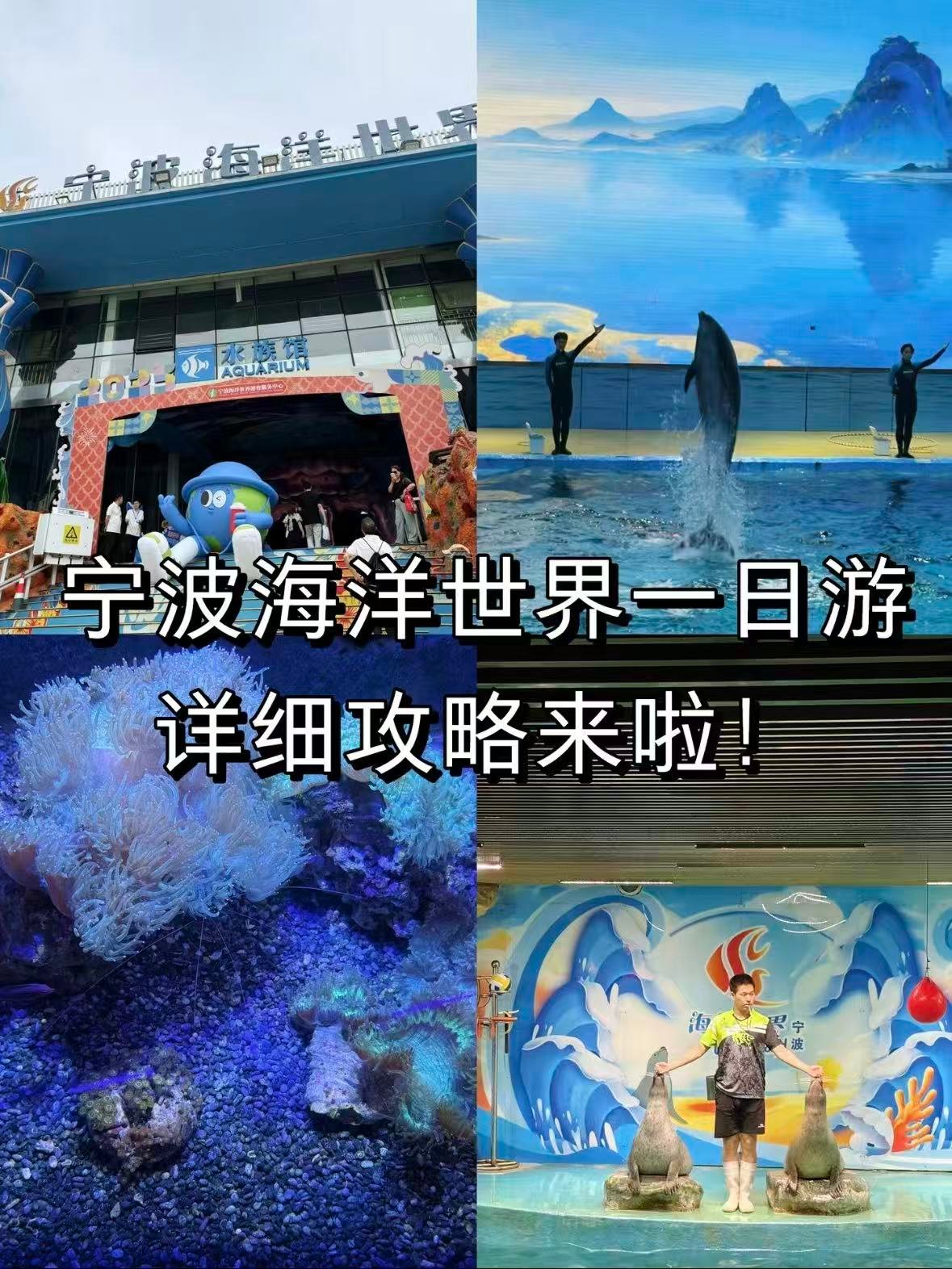 🐠 宁波海洋世界｜沉浸式探索奇妙海底世界