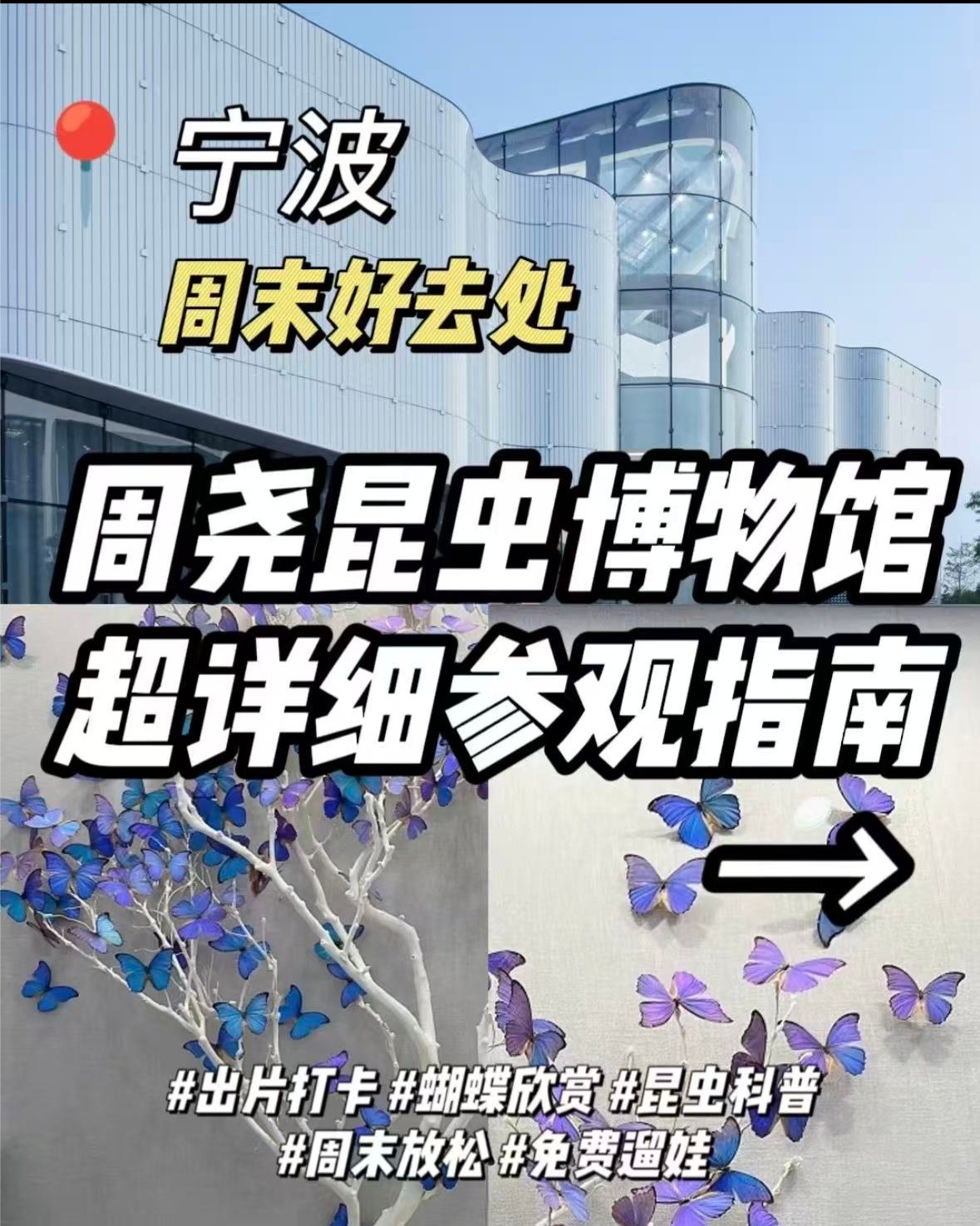 🦋 宁波周尧昆虫博物馆｜沉浸式探索奇妙虫虫世界