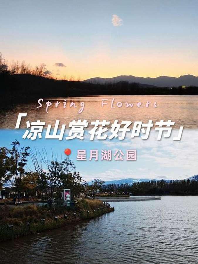 凉山免费宝藏花海✨星月湖公园春日赏花全攻略