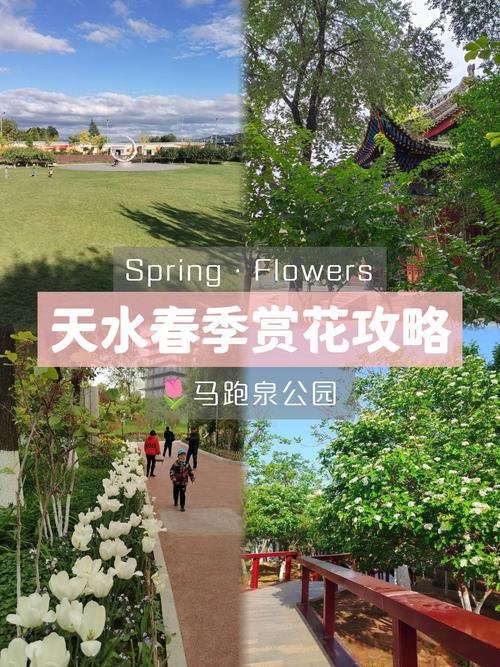 🌷 天水马跑泉公园｜春日赏花宝藏地