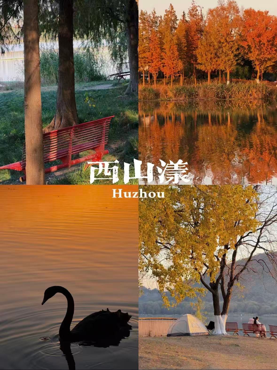 湖州西山漾｜藏在城市里的湿地秘境，四季都美到犯规✨