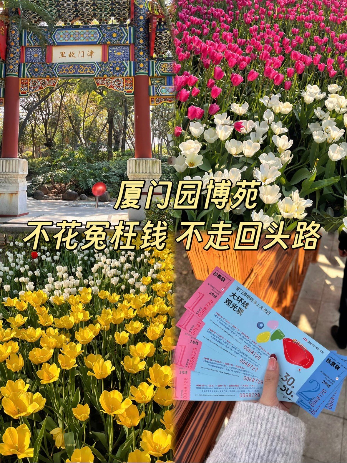 厦门园博园｜藏在城市里的水上大观园✨