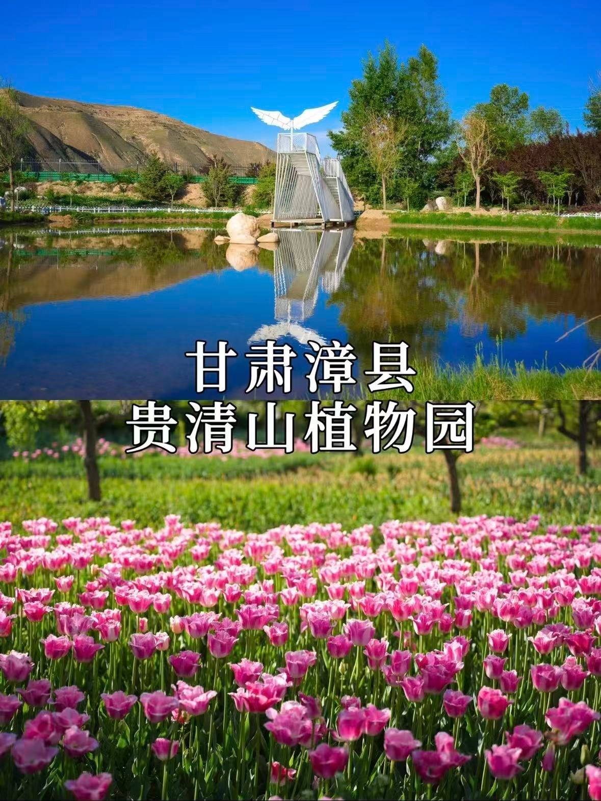 漳县贵清山植物园｜西北小江南的四季花海秘境🌸