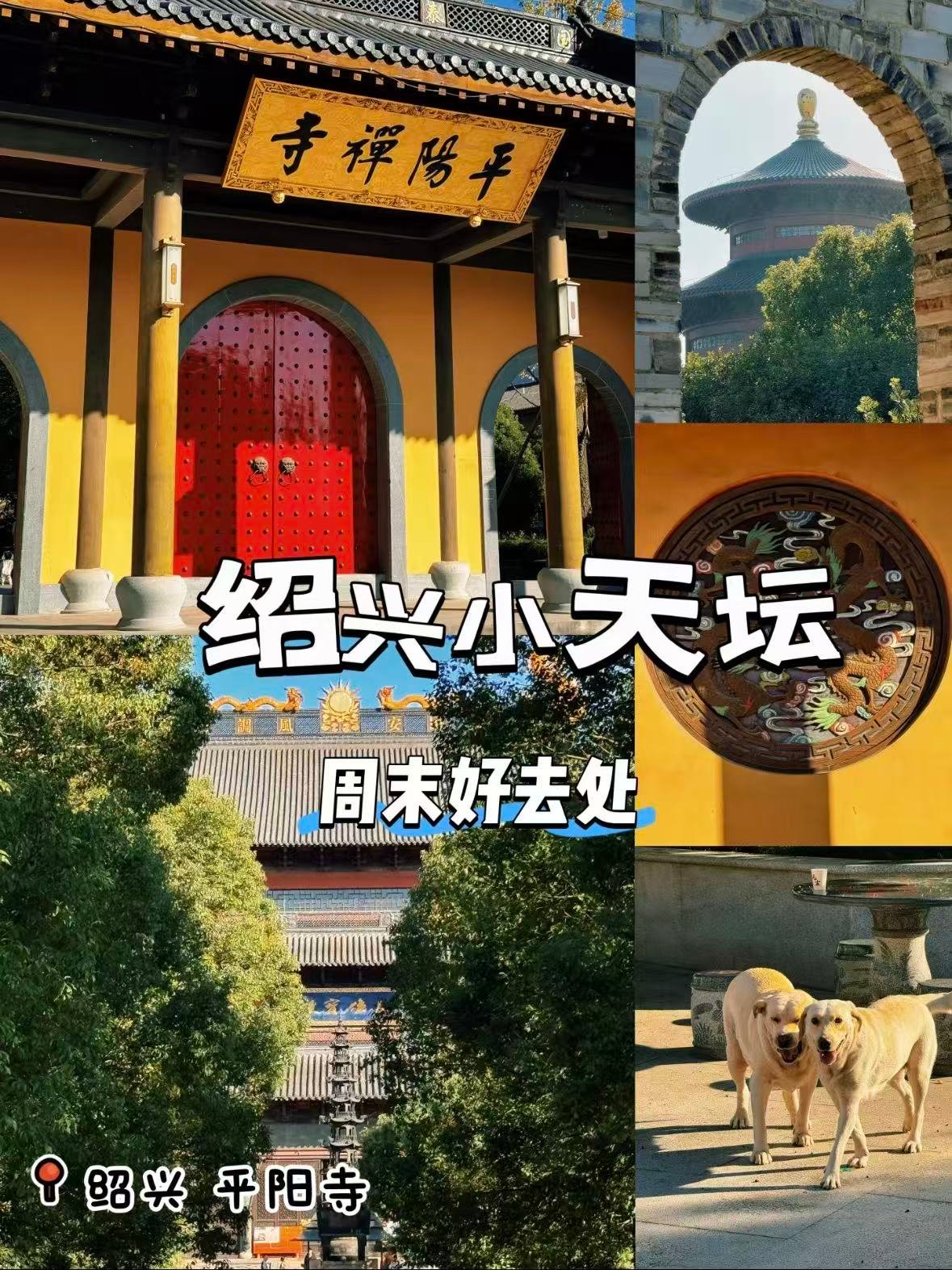 绍兴平阳寺｜藏在城市里的 “小天坛”🌿