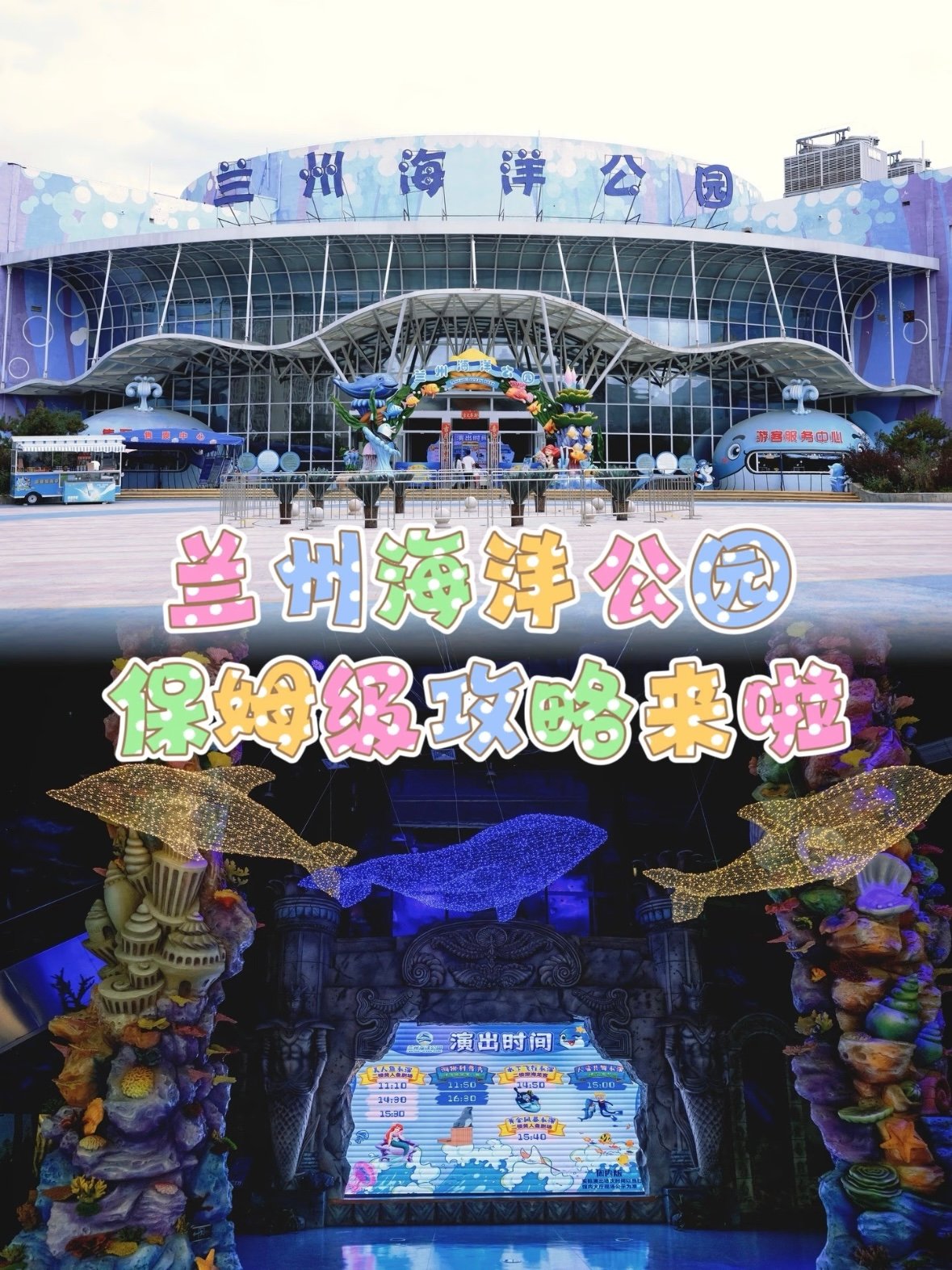 🌊 兰州海洋公园｜亲子遛娃天花板，保姆级攻略来了