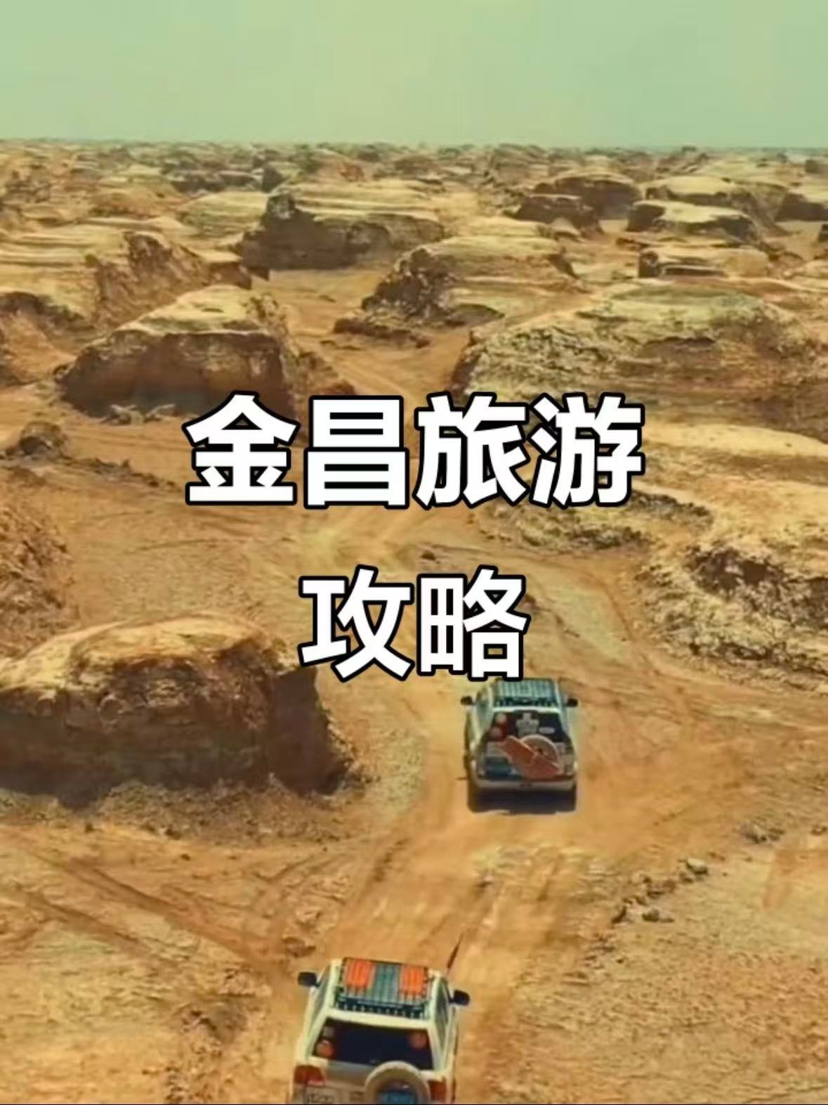 金昌紫金花公园｜藏在戈壁里的紫色浪漫，承包一整个夏天✨