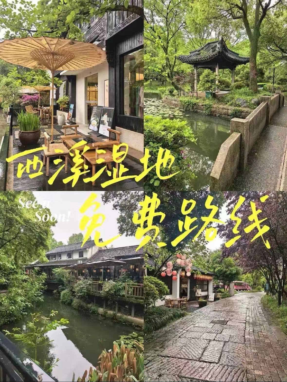 杭州西溪湿地｜烟雨江南的免费秘境🌿