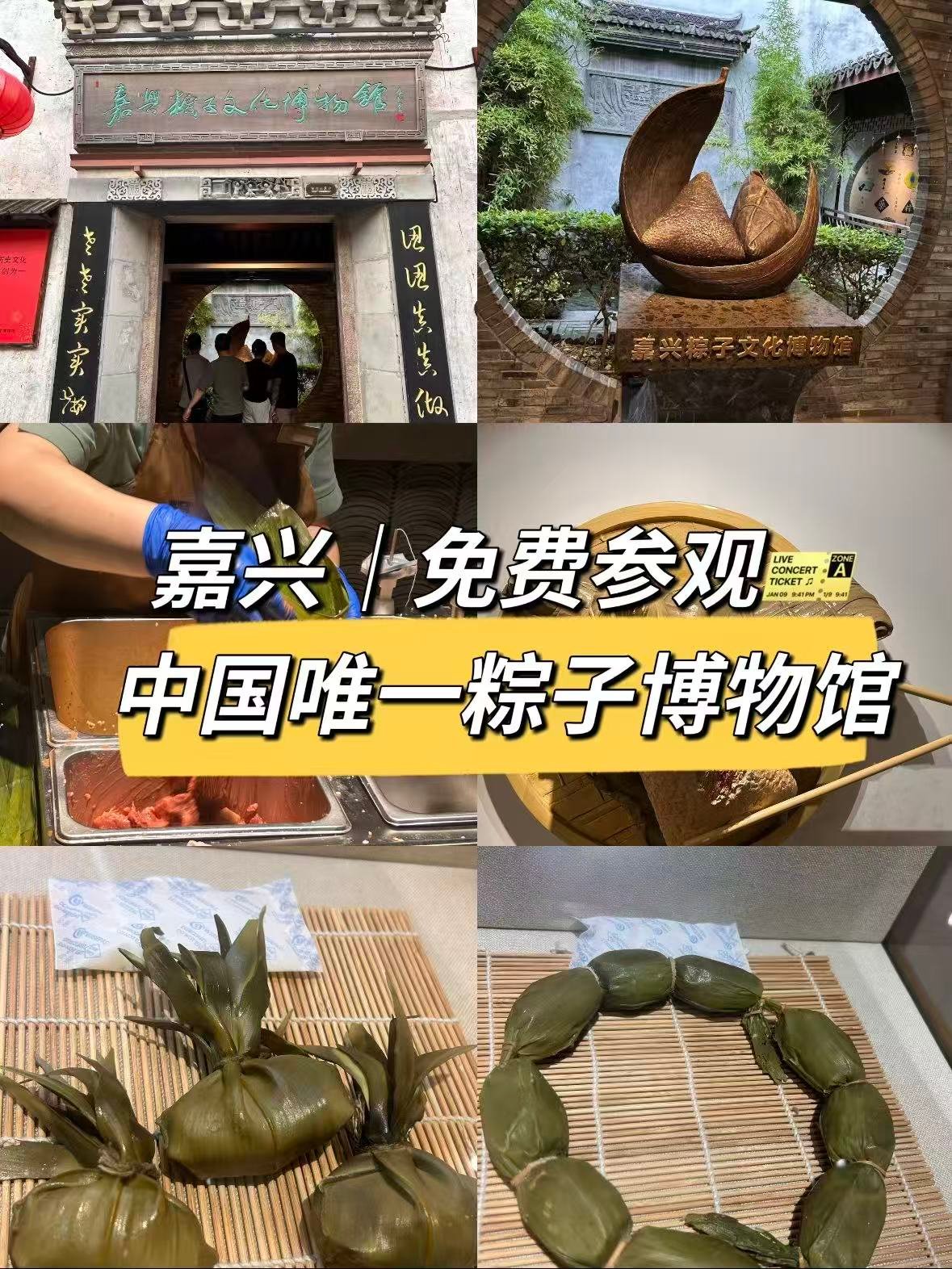 嘉兴｜粽子文化博物馆，把粽子玩出了新花样🍙