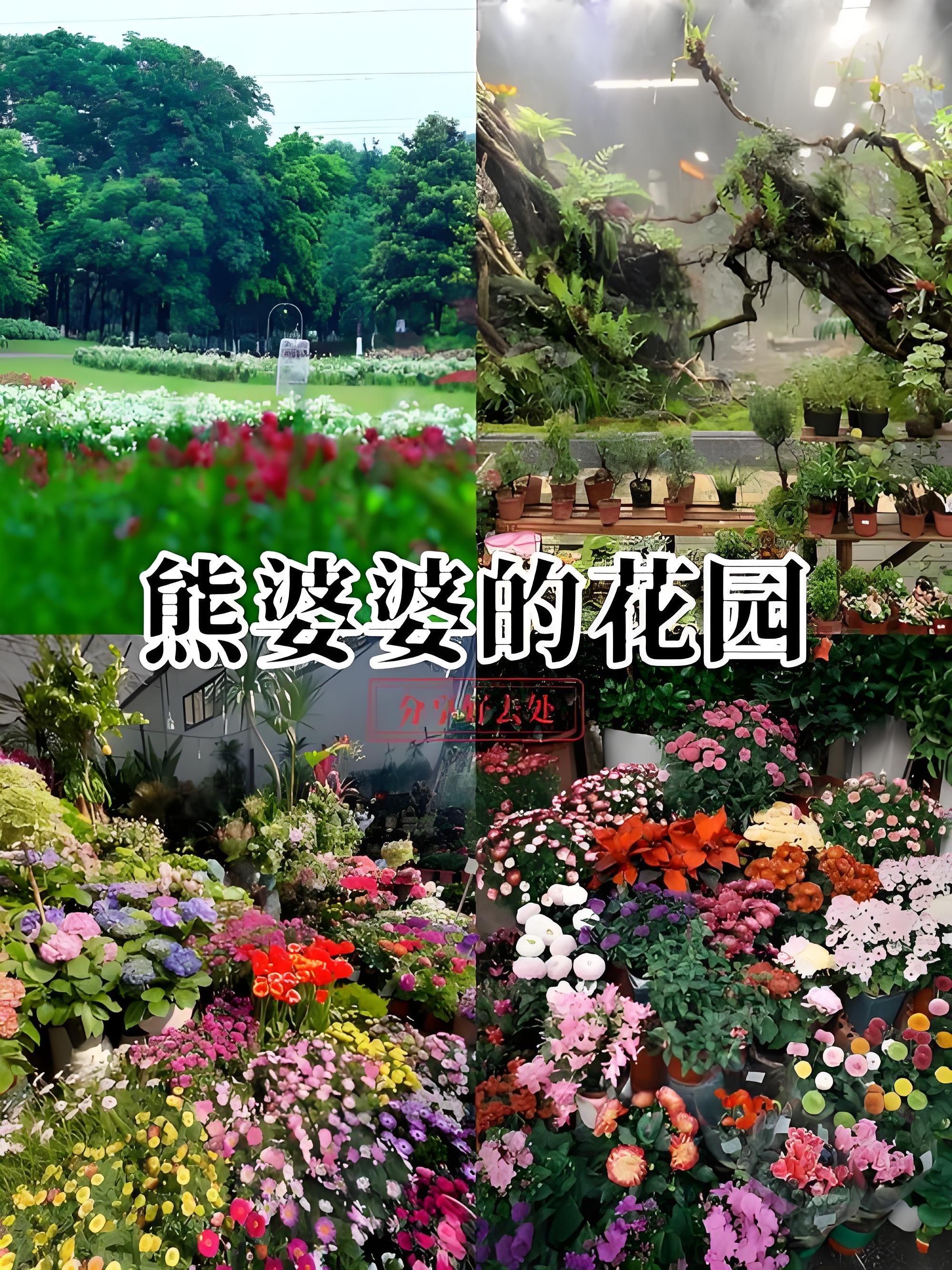 重庆熊婆婆的花园攻略🌸渝北城市宝藏花艺乐园｜遛娃 + 买花 + 撸宠一站式