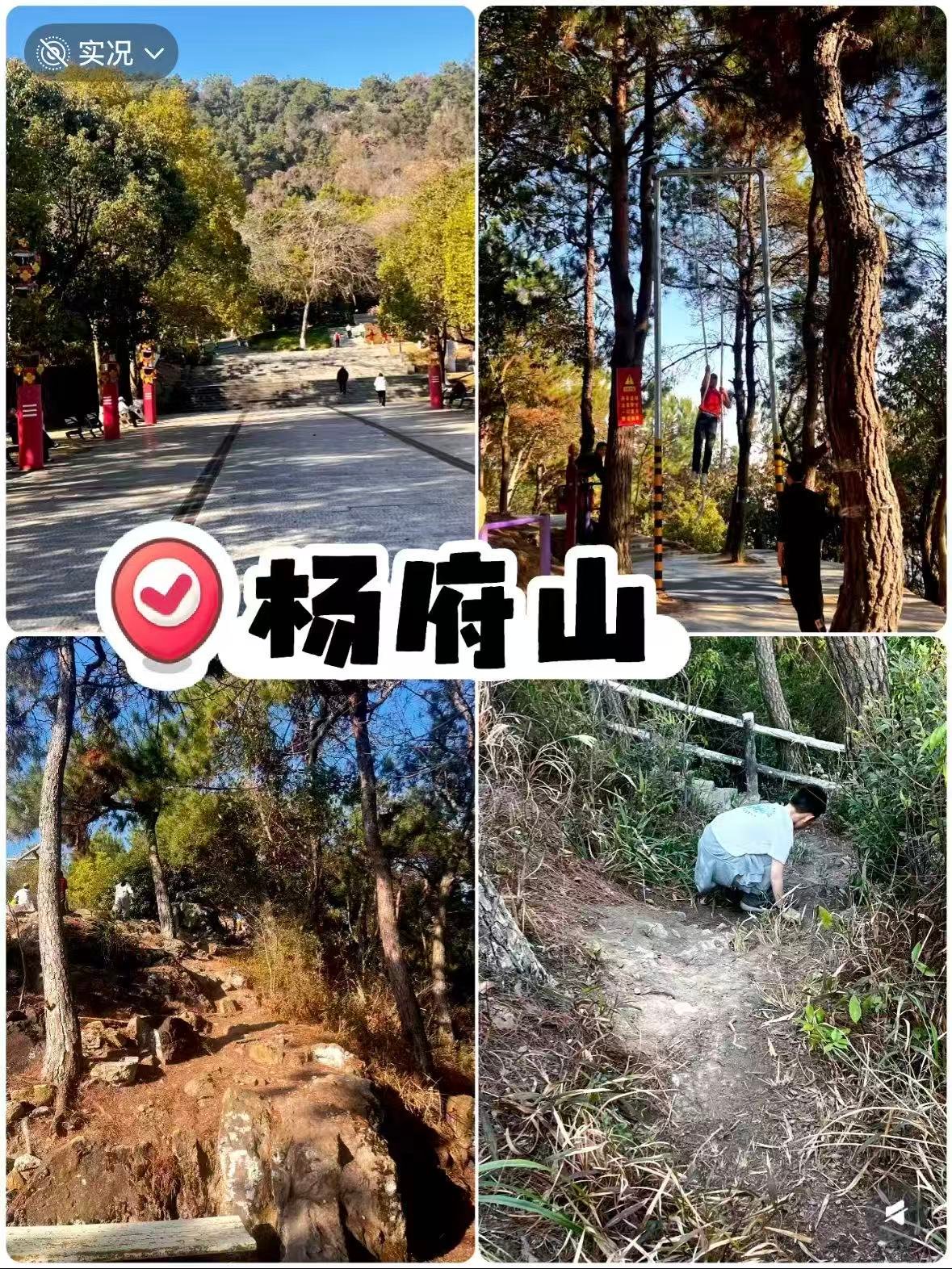 温州杨府山 | 藏在市区的治愈秘境🌿