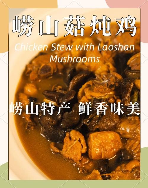 🍲崂山菇炖鸡｜山海融合特色硬菜！山林鲜菌配本地走地鸡
