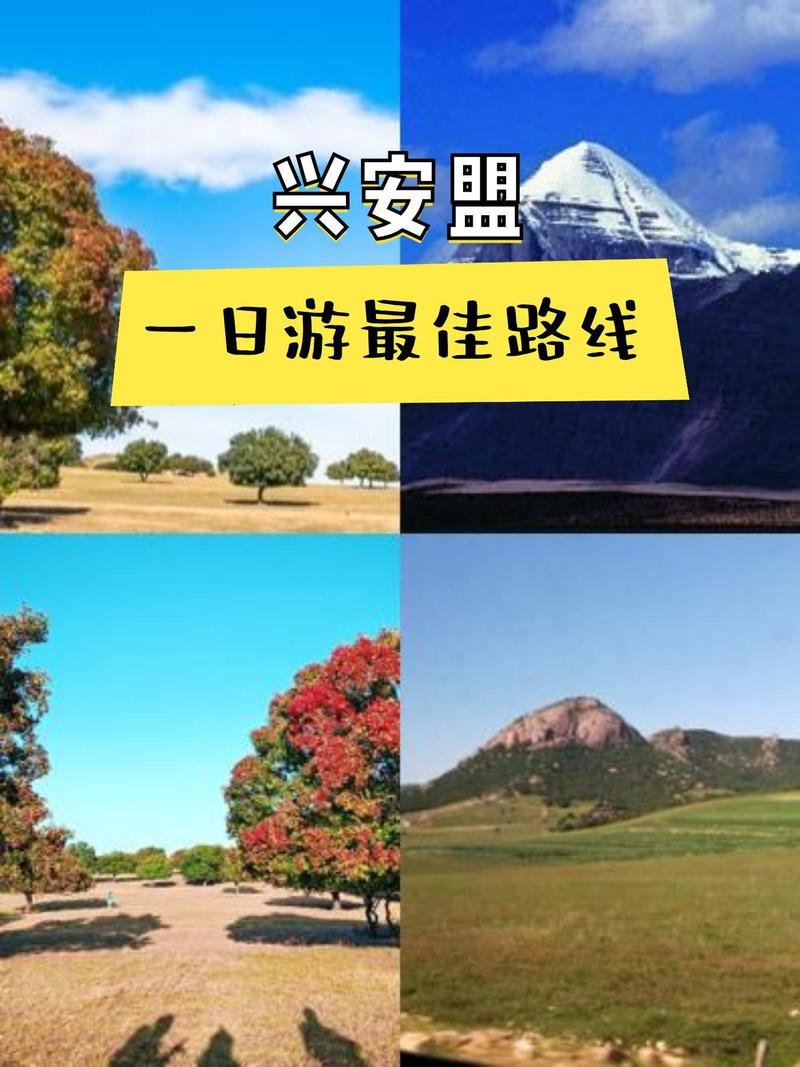 🌼兴安盟五角枫景区・秋日童话✨金黄枫林 + 草原湿地