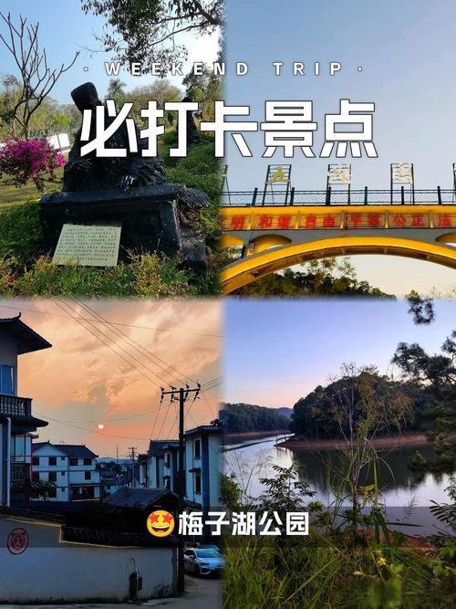 💧梅子湖公园｜思茅城市绿肺✨湖光山色 + 栈道漫步超治愈