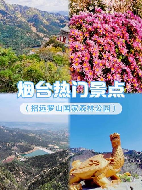 🏞️招远罗山国家森林公园｜黄金文化 + 森林氧吧