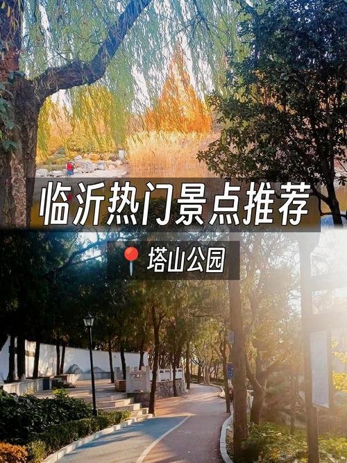 🌄塔山森林公园｜天然氧吧✨森林徒步 + 玻璃观景台