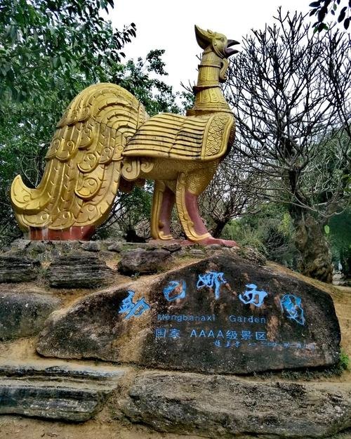 🦚勐巴娜西珍奇园｜芒市宝藏园林｜孔雀漫步奇石古树园🌿