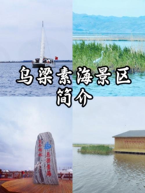 🌊乌梁素海・黄河明珠✨塞外西湖 + 芦苇荡泛舟