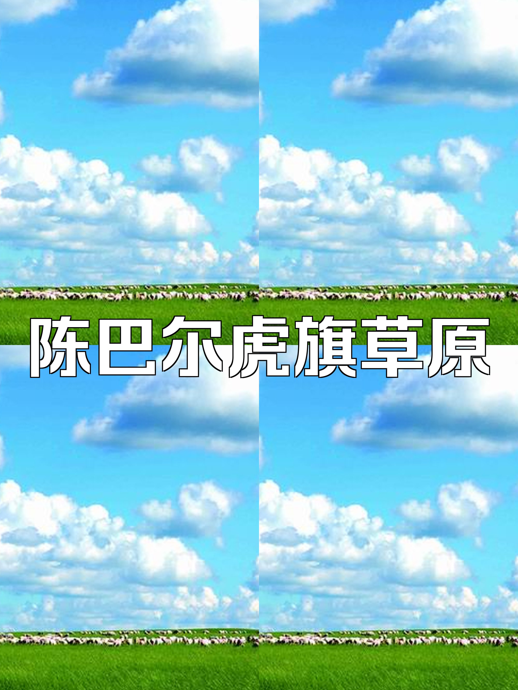 🌿陈巴尔虎旗草原・原生态草原✨风吹草低 + 牛羊成群