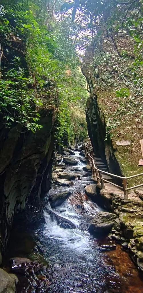 哀牢山石门峡｜原始森林秘境✨溪流瀑布 + 吸氧洗肺