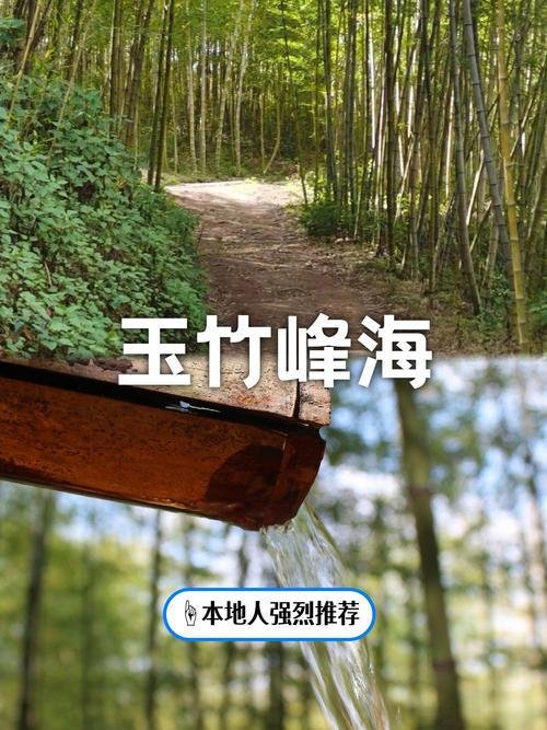 峨山玉竹峰海｜万亩竹海秘境✨网红天眼 + 竹楼民宿