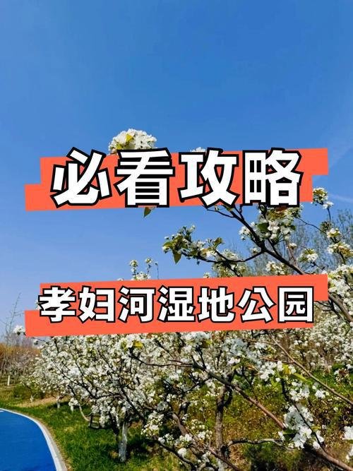 🌿孝妇河湿地公园｜城市绿肺✨音乐喷泉 + 休闲漫步