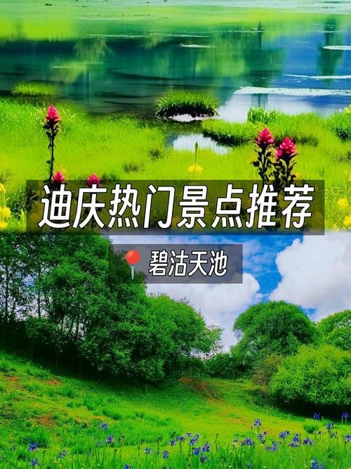 🌊碧沽天池｜香格里拉高山瑶池｜影视剧取景秘境💧
